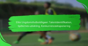 Elite Ungdomsfodboldligaer: Talentidentifikation, Spillernes udvikling, Konkurrenceeksponering