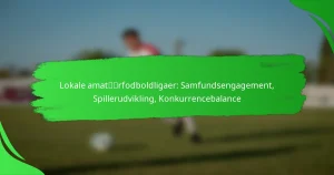 Lokale amatørfodboldligaer: Samfundsengagement, Spillerudvikling, Konkurrencebalance