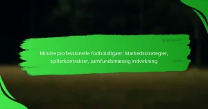 Mindre professionelle fodboldligaer: Markedsstrategier, spillerkontrakter, samfundsmæssig indvirkning