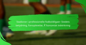Stadioner i professionelle fodboldligaer: Stedets betydning, Fanoplevelse, Økonomisk indvirkning