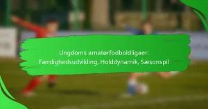 Ungdoms amatørfodboldligaer: Færdighedsudvikling, Holddynamik, Sæsonspil