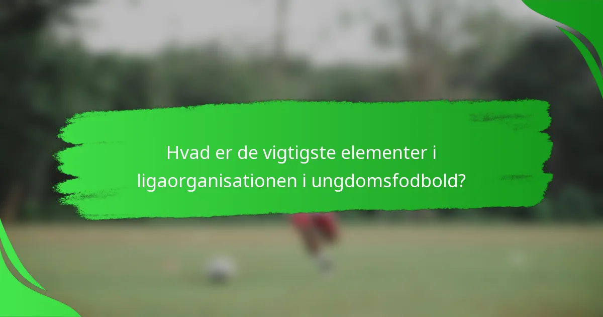 Hvad er de vigtigste elementer i ligaorganisationen i ungdomsfodbold?