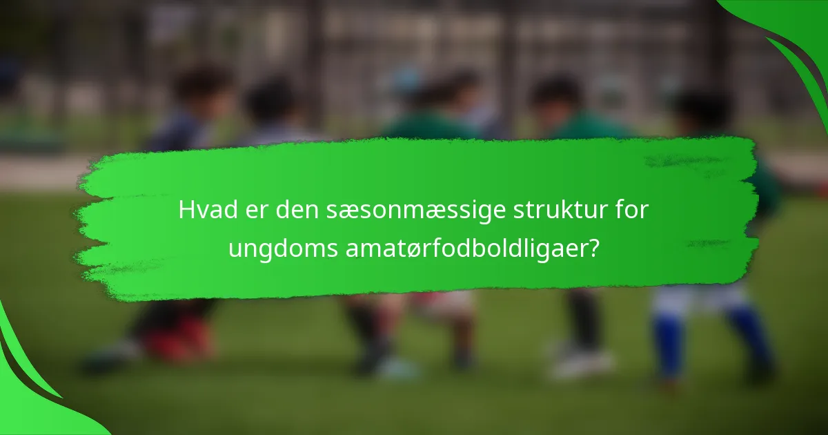 Hvad er den sæsonmæssige struktur for ungdoms amatørfodboldligaer?