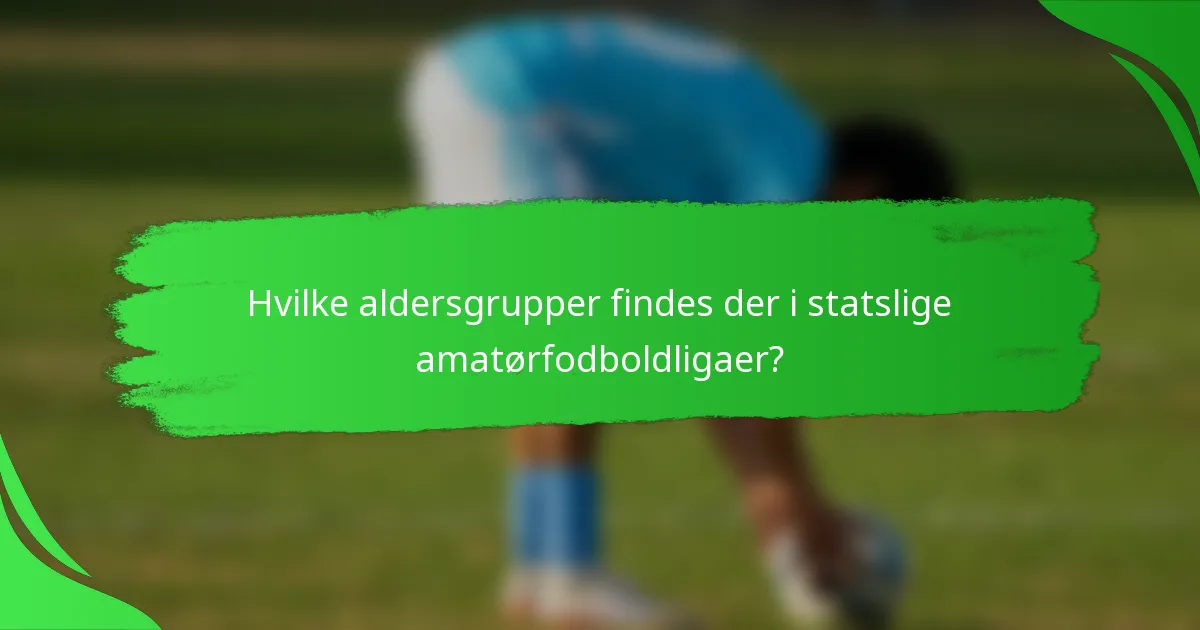 Hvilke aldersgrupper findes der i statslige amatørfodboldligaer?