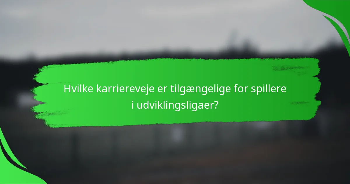 Hvilke karriereveje er tilgængelige for spillere i udviklingsligaer?