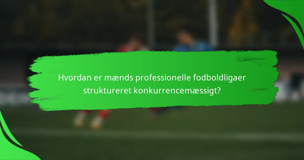 Hvordan er mænds professionelle fodboldligaer struktureret konkurrencemæssigt?