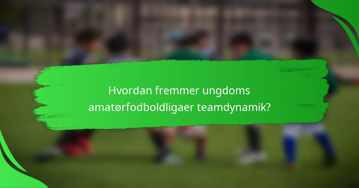 Hvordan fremmer ungdoms amatørfodboldligaer teamdynamik?