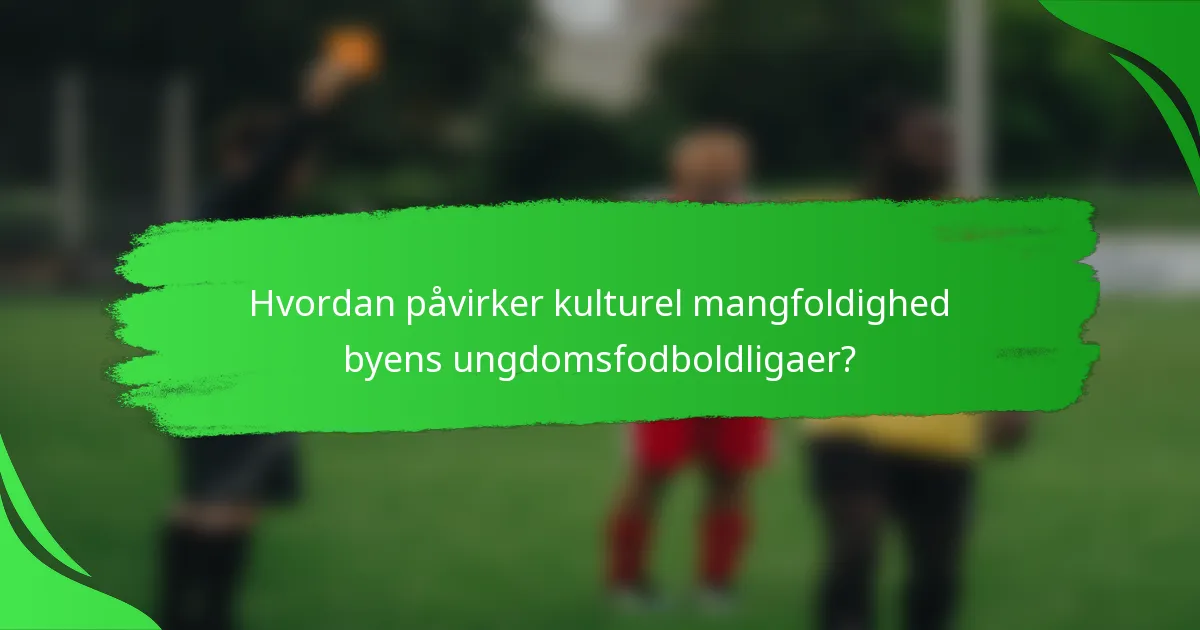 Hvordan påvirker kulturel mangfoldighed byens ungdomsfodboldligaer?